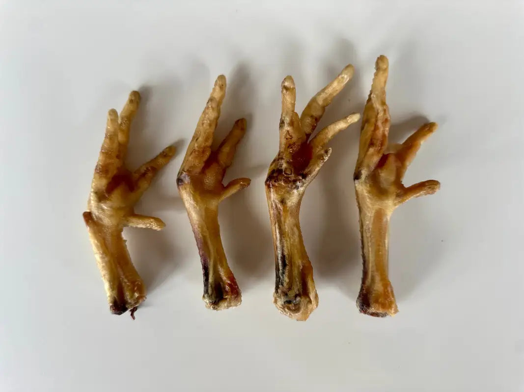 Chicken Feet - Dog Treats